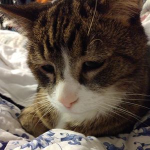 Meet your Posher, Sharon